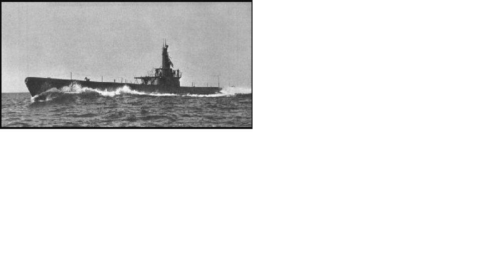 USS Capelin (SS-289)